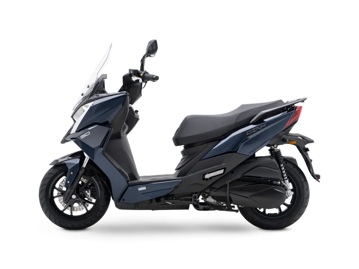 dink-125-flat-6.jpg