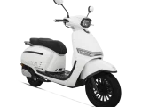 Versilia 50